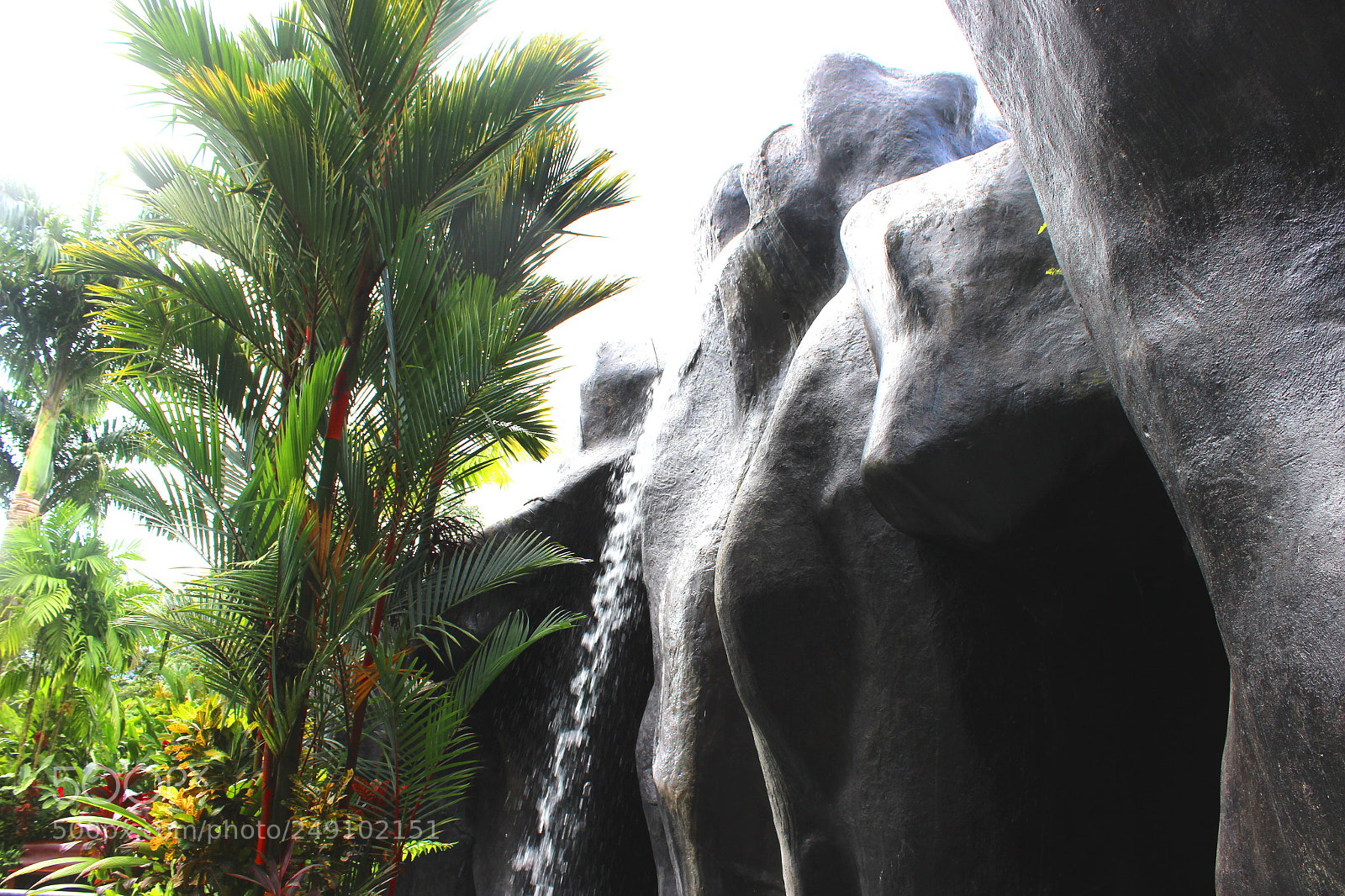 Canon EOS 600D (Rebel EOS T3i / EOS Kiss X5) sample photo. Img photography