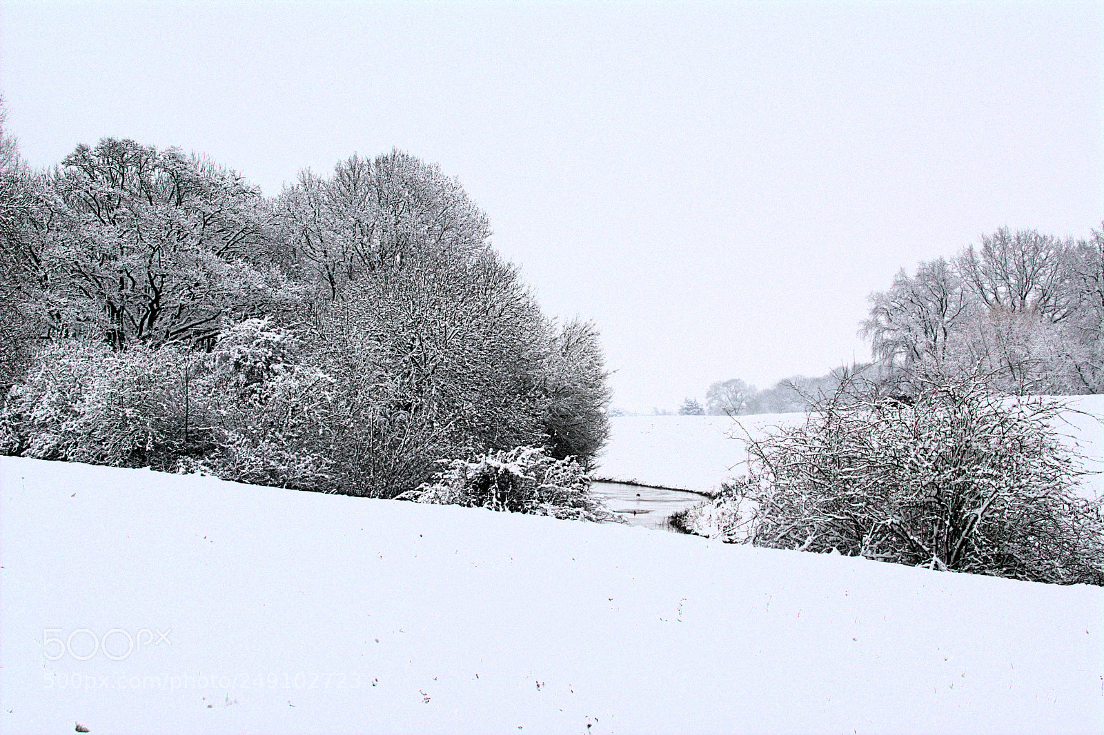 Nikon D5200 sample photo. Ile charlemagne orleans france photography