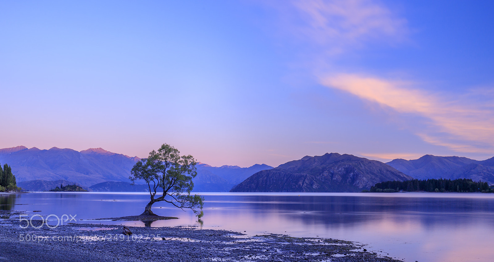 Canon EOS 6D Mark II sample photo. Wanaka tree at dawn photography