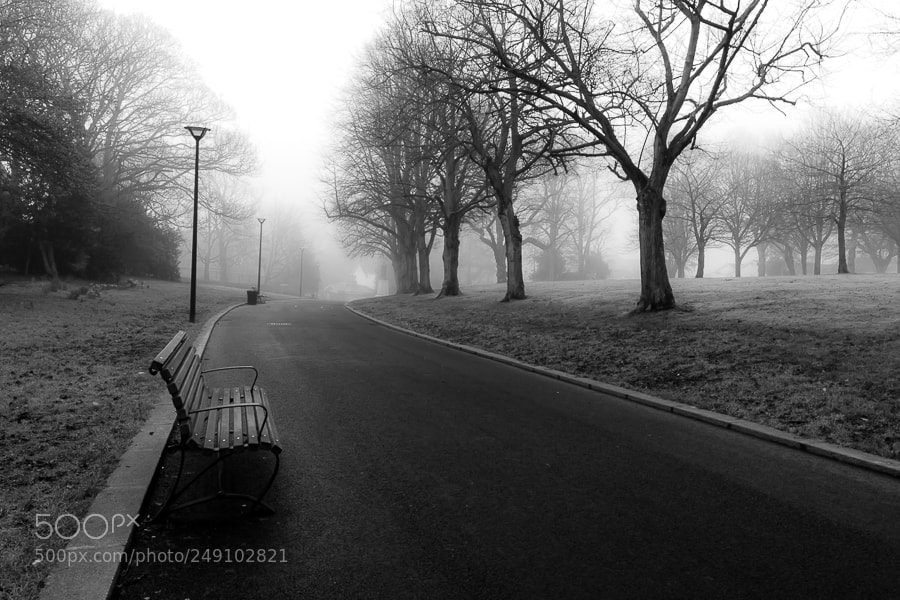 Nikon D5200 sample photo. Spring fog photography