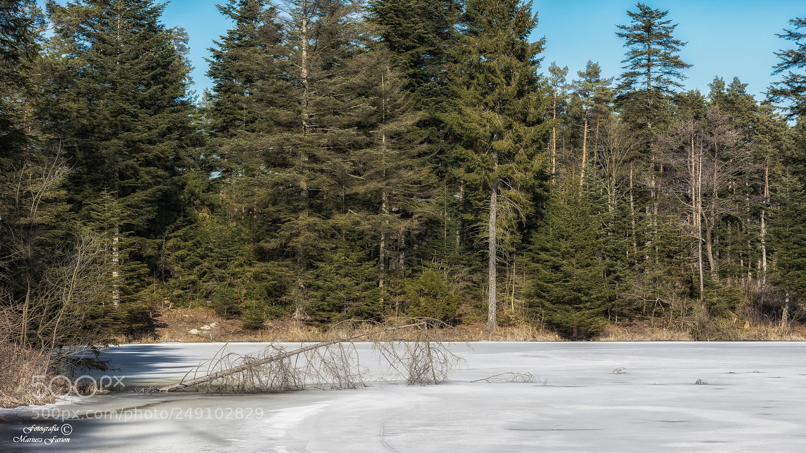 Nikon D7200 sample photo. W górecku photography