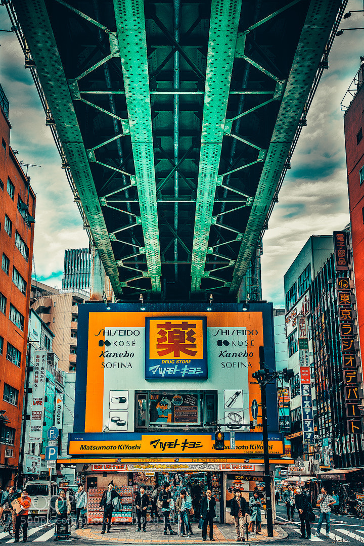 Canon EOS 5DS R sample photo. “green and gold” ©2018 photography