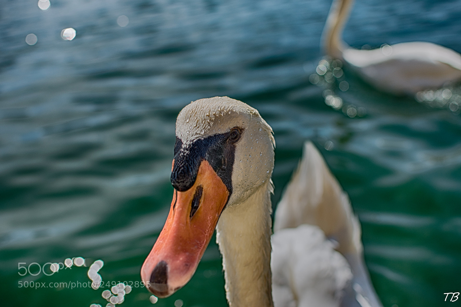 Nikon D7200 sample photo. S3 photography