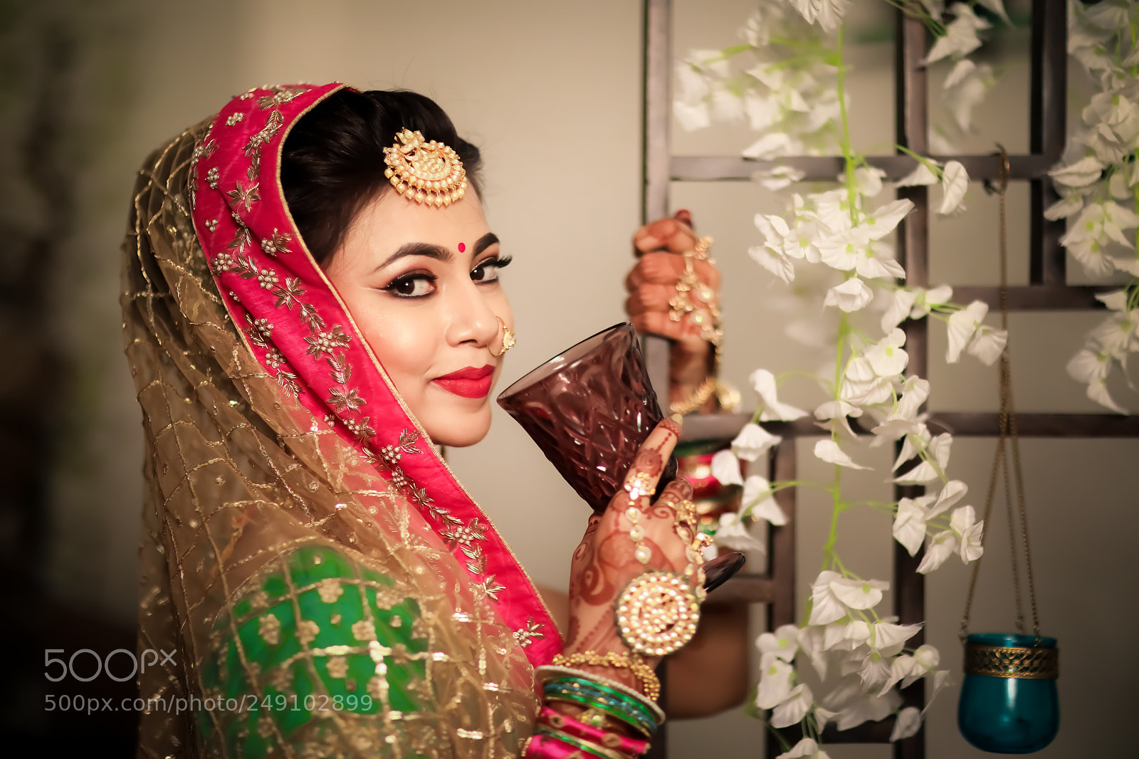 Canon EOS 5D Mark IV sample photo. Indian bridal portrait photography