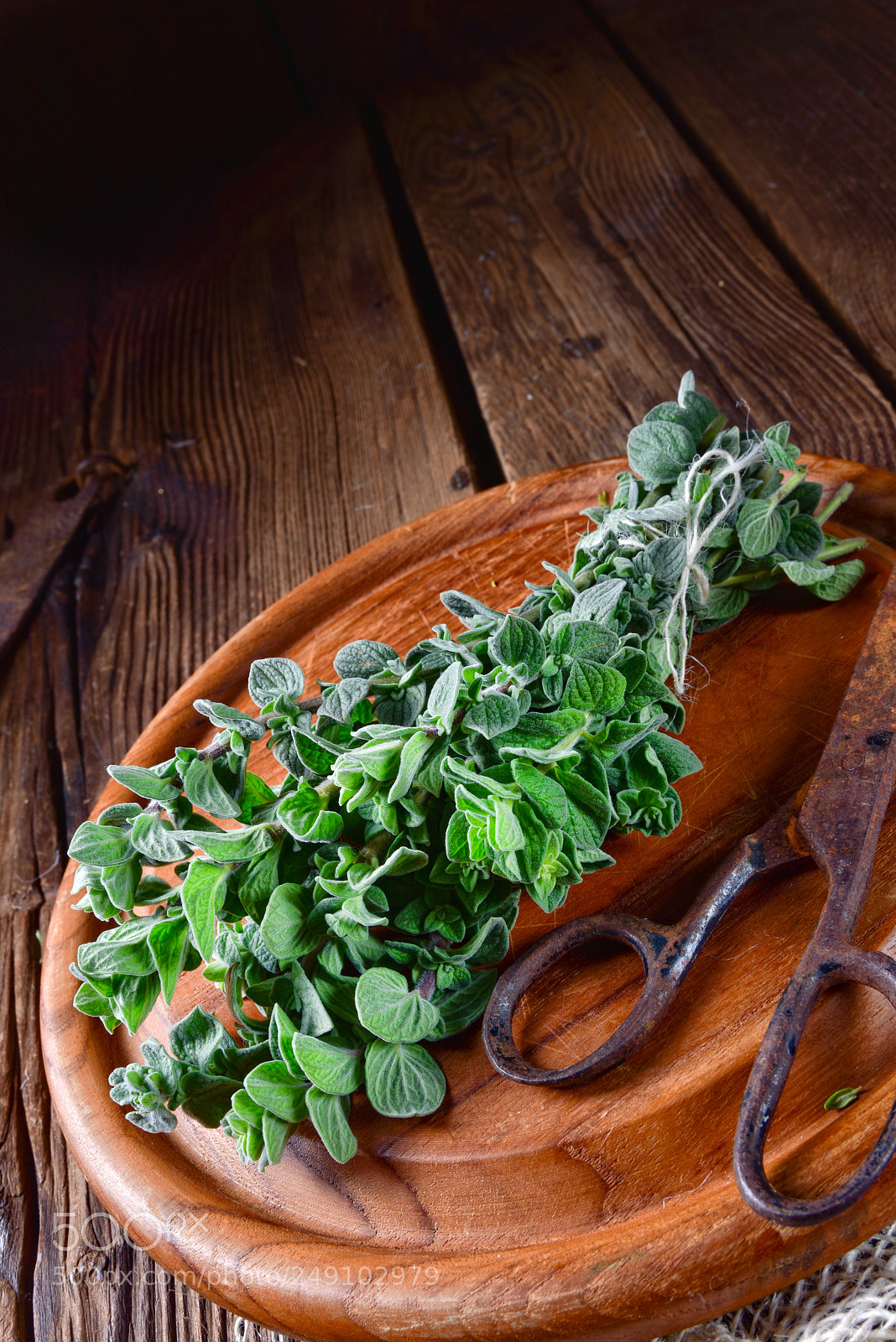 Nikon D810 sample photo. Aromatische oregano (origanum vulgare) photography