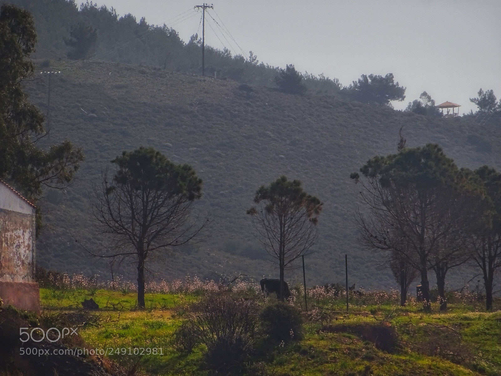 Sony DSC-HX60 sample photo. Farm photography