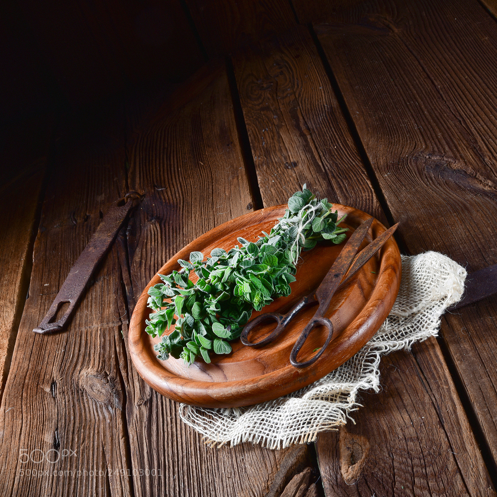 Nikon D810 sample photo. Aromatische oregano (origanum vulgare) photography