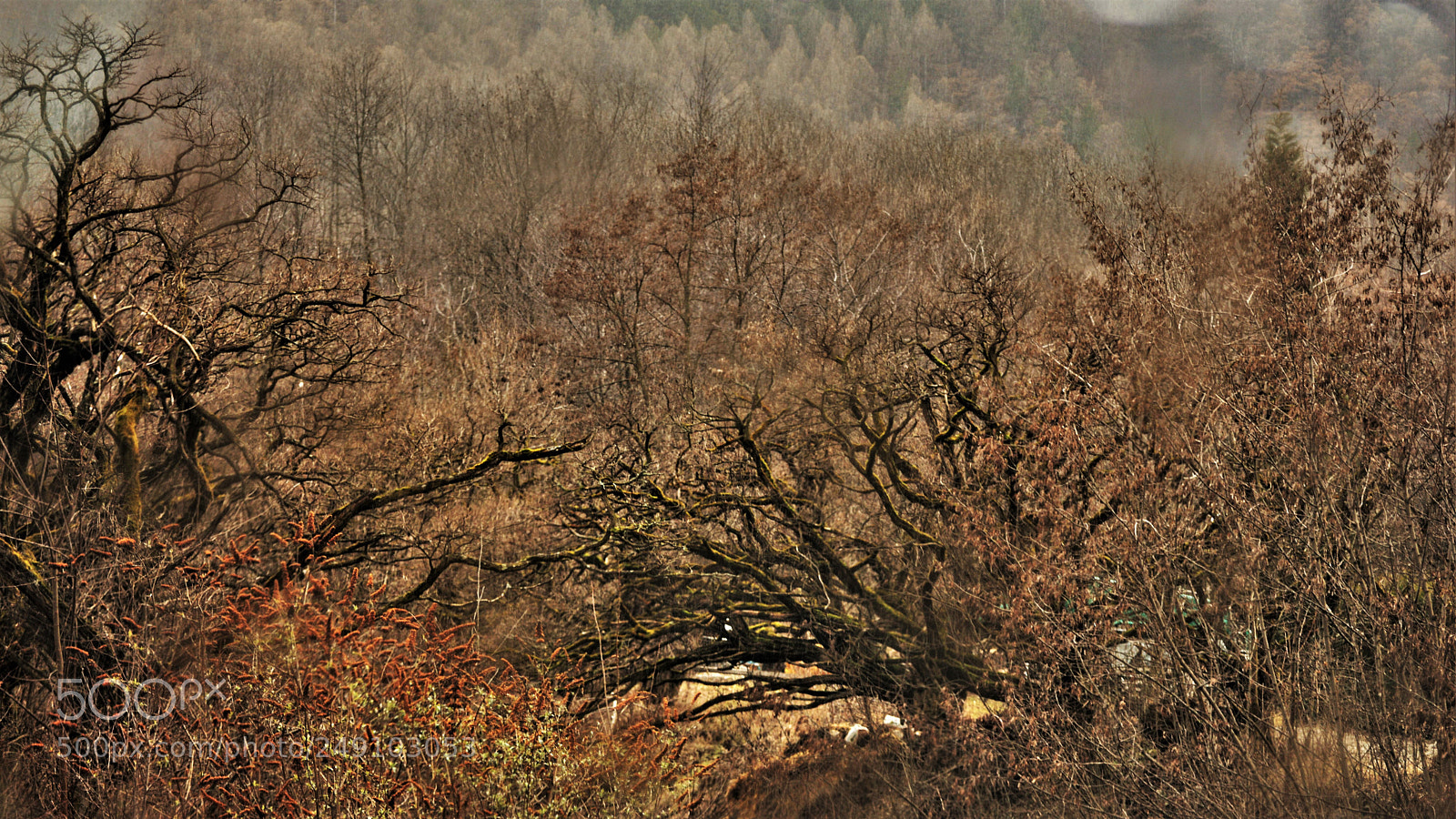 Nikon D3200 sample photo. Untitled photography