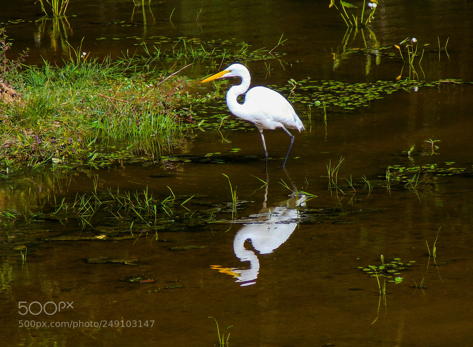 Nikon Coolpix L810 sample photo. Reflexando photography