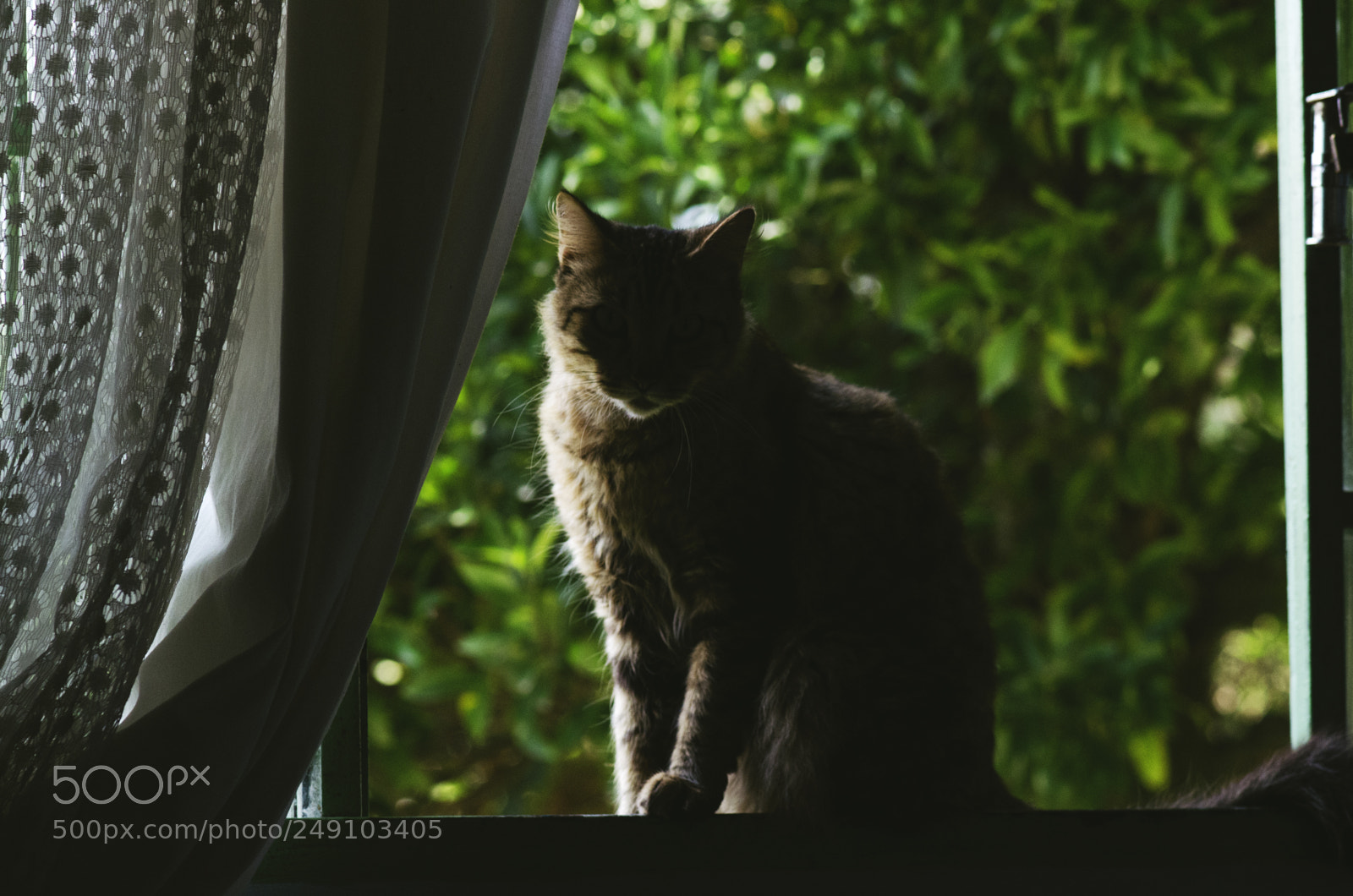 Nikon D7000 sample photo. Untitled photography