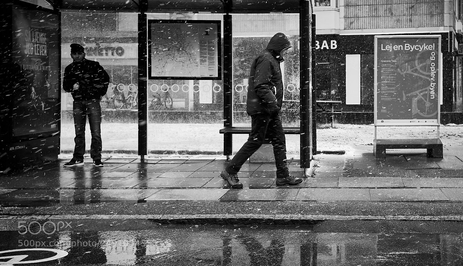 Fujifilm X100F sample photo. Escaping the snow photography