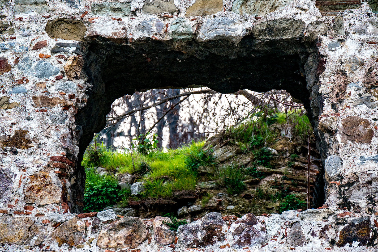 Panasonic Lumix DMC-G85 (Lumix DMC-G80) sample photo. South-eastern walls photography