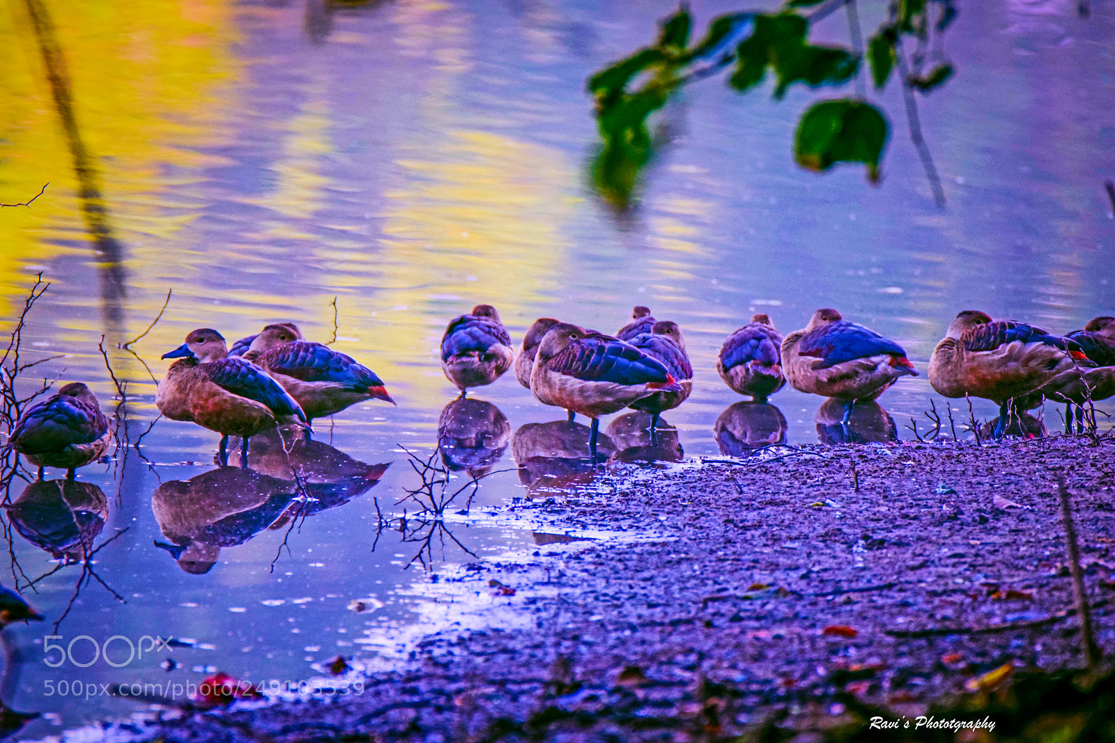 Nikon D5300 sample photo. Enjoying nature photography