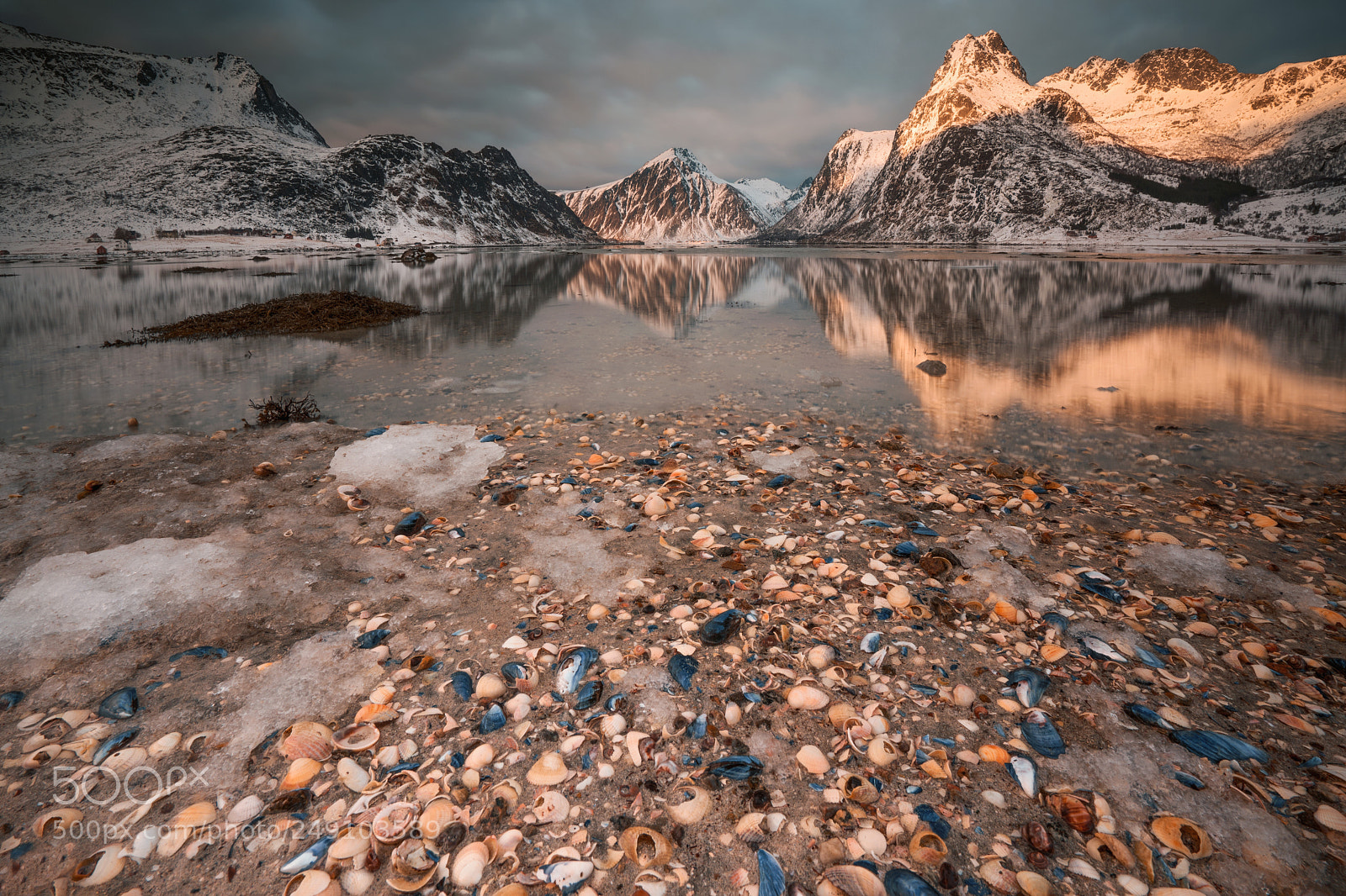 Sony a7R III sample photo. Shell beach photography