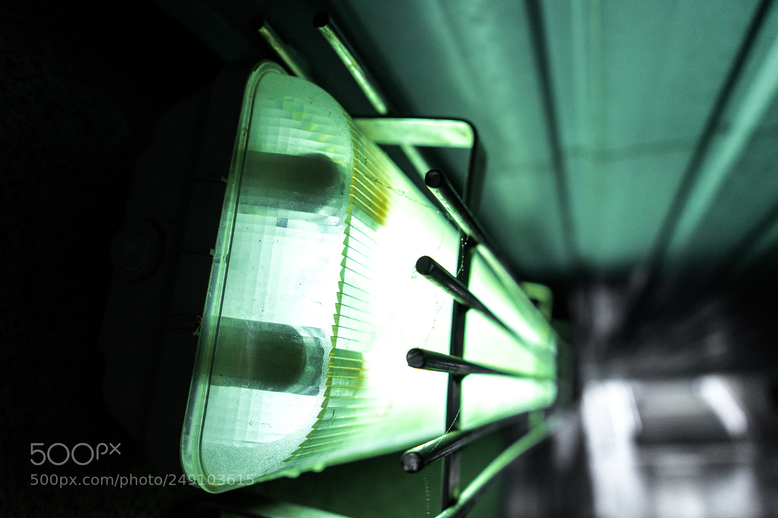 Sony a7 II sample photo. Green mood photography