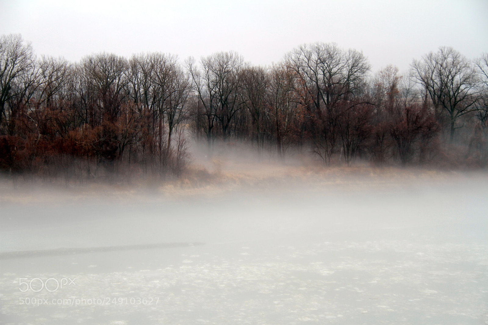 Canon EOS 7D sample photo. Untitled photography