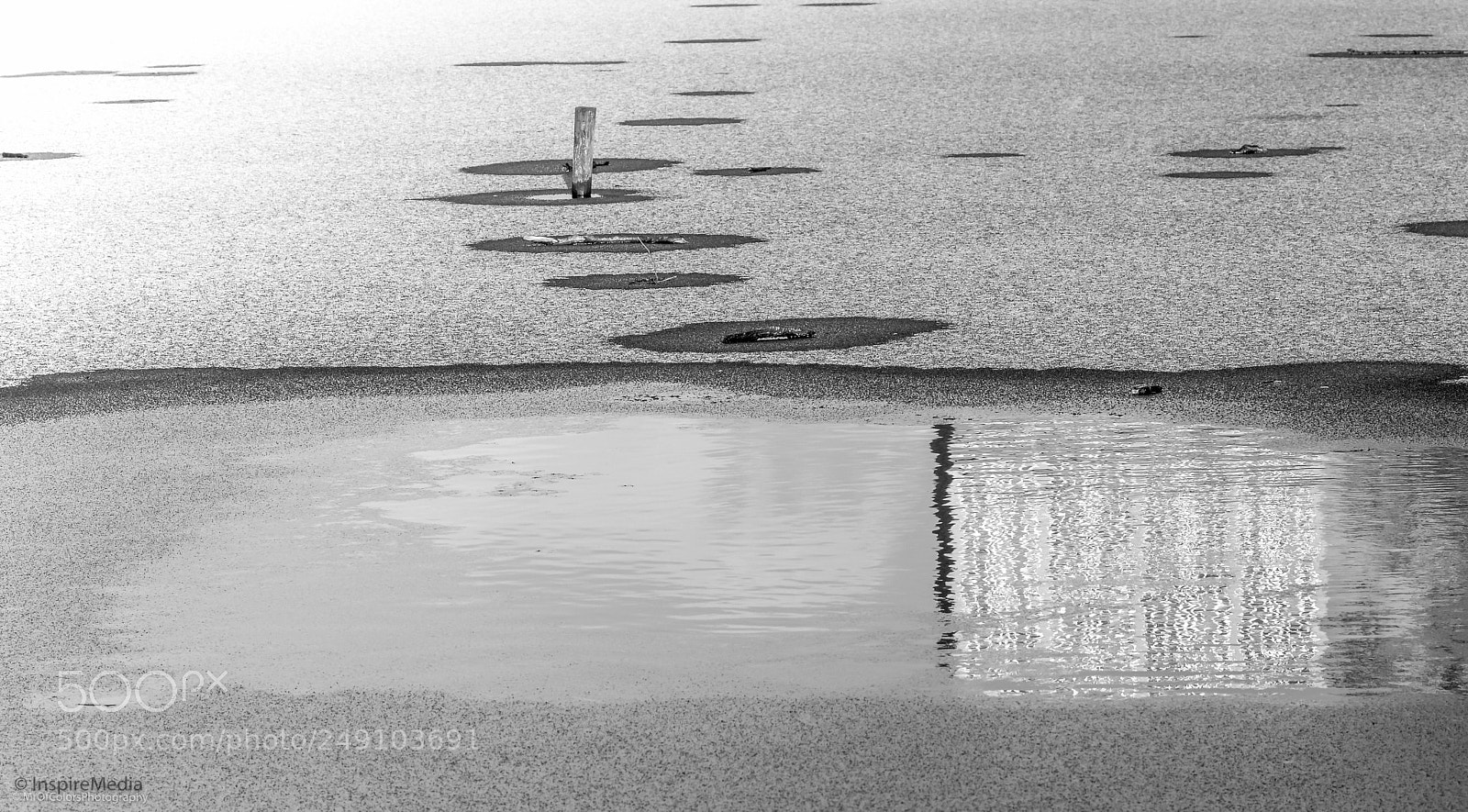 Canon EOS 80D sample photo. Winter texture oosterpark-wijk mrofcolorsphotography photography