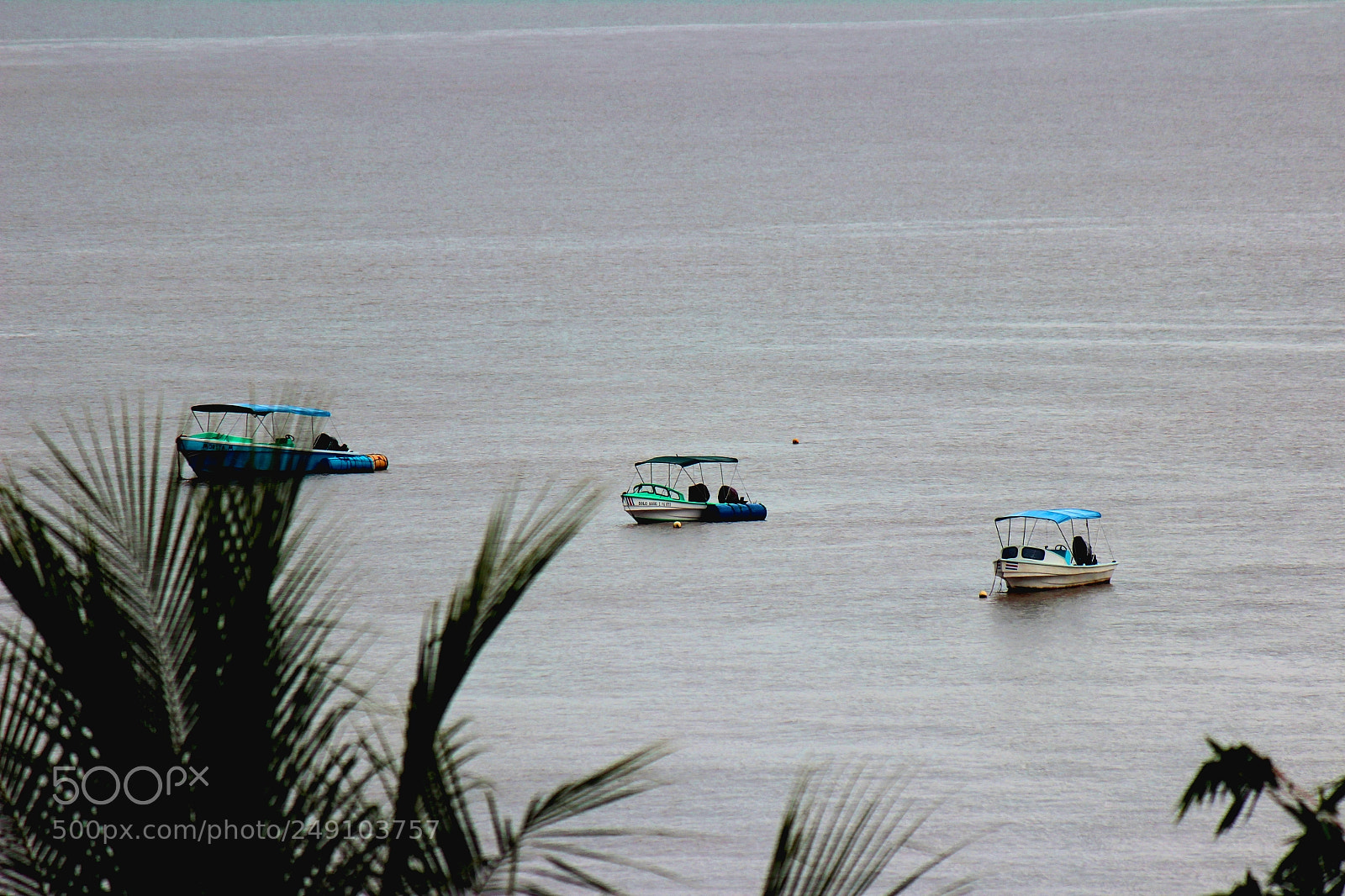 Canon EOS 600D (Rebel EOS T3i / EOS Kiss X5) sample photo. Img photography