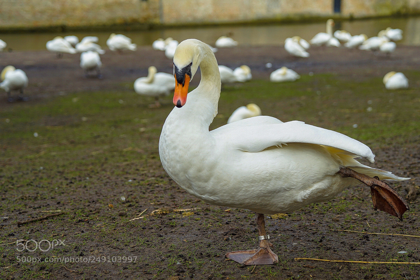 Sony a7 II sample photo. Let s do some photography