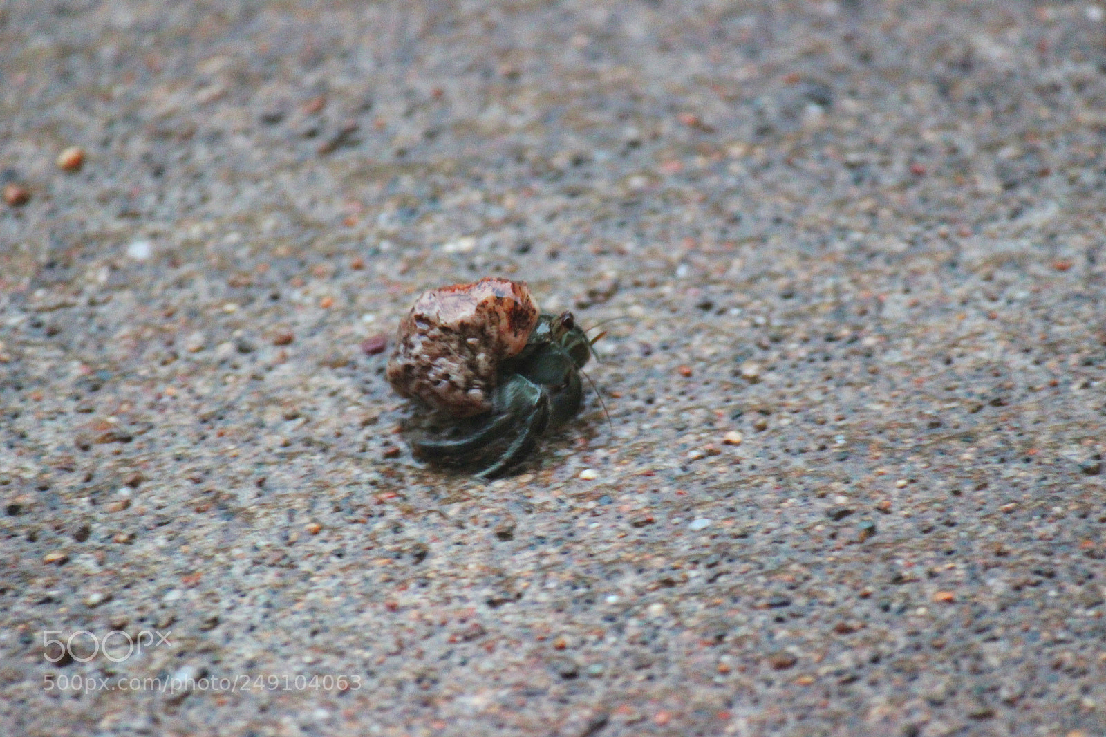Canon EOS 600D (Rebel EOS T3i / EOS Kiss X5) sample photo. Img photography