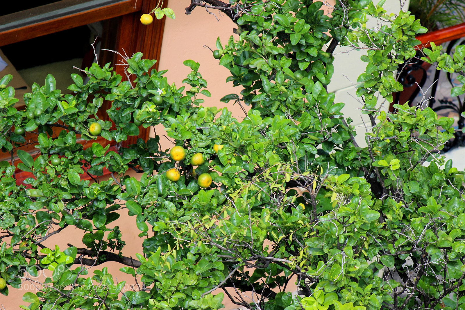 Canon EOS 600D (Rebel EOS T3i / EOS Kiss X5) sample photo. Img photography