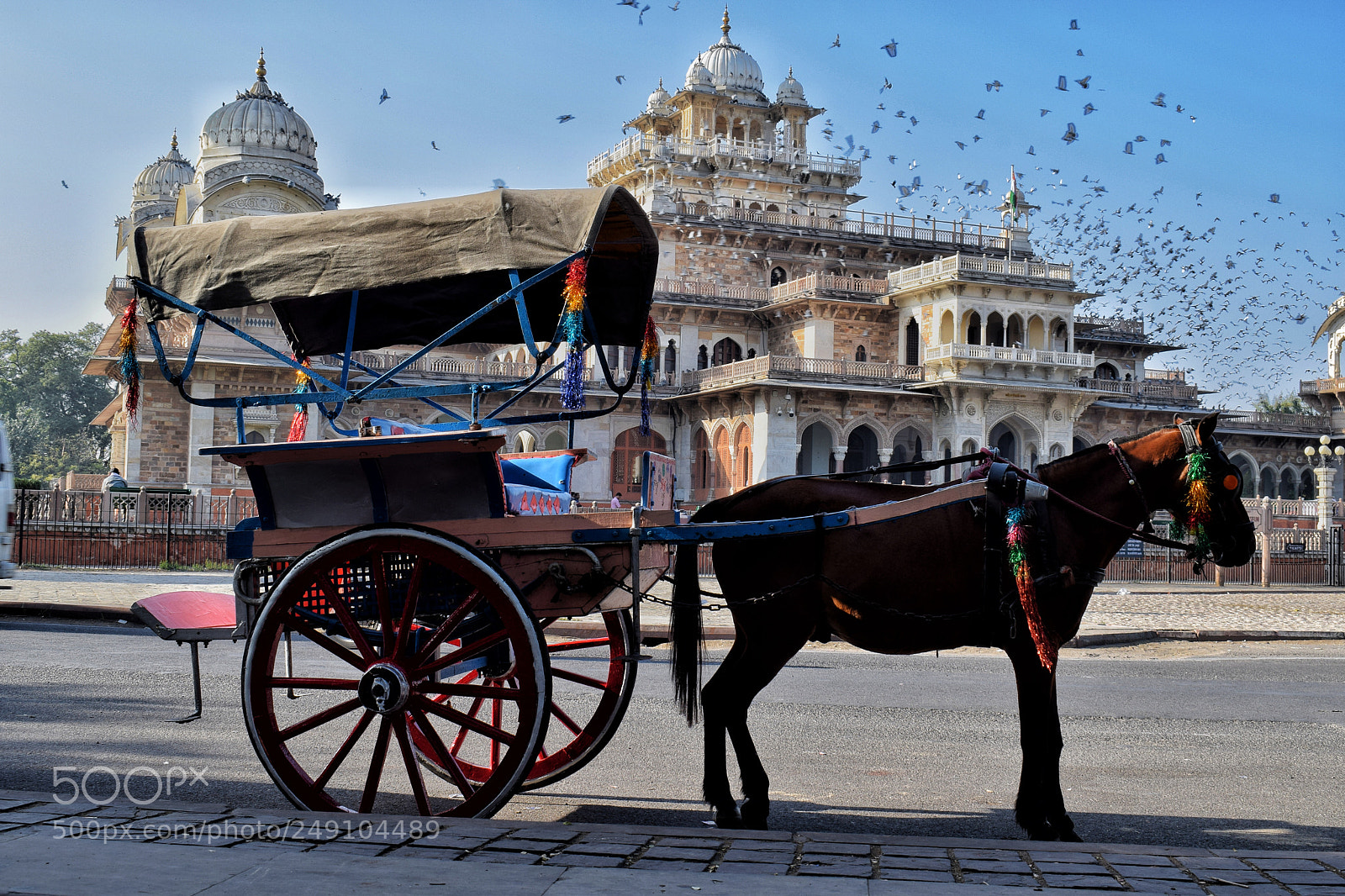 Nikon D5300 sample photo. Albert hall museum photography
