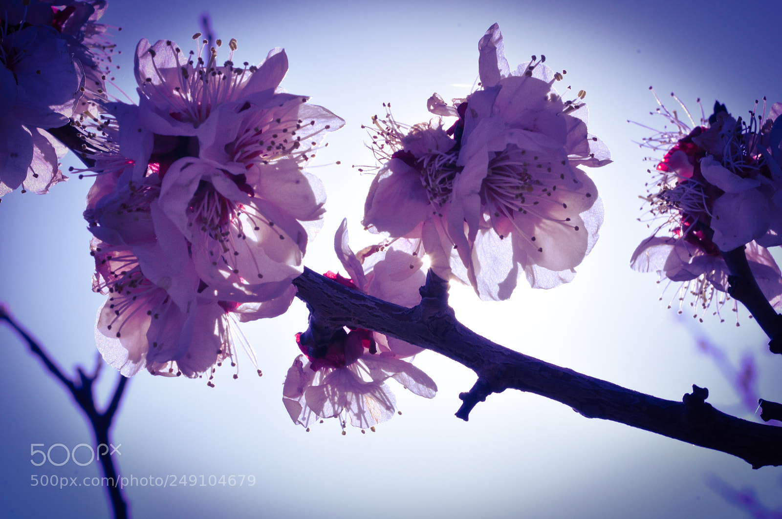Nikon D90 sample photo. Untitled photography