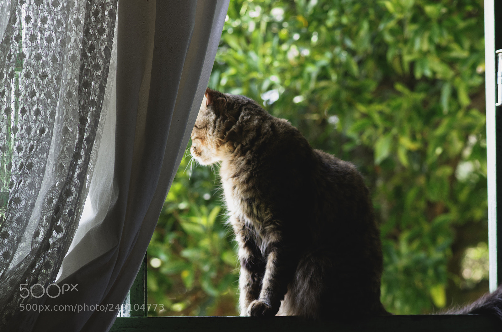 Nikon D7000 sample photo. Untitled photography