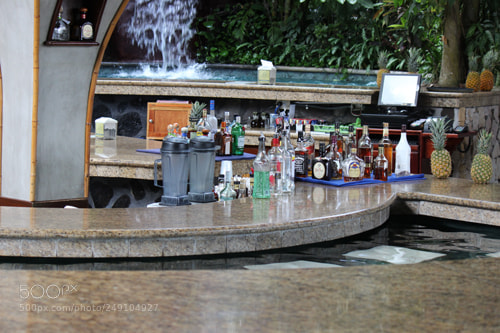 Canon EOS 600D (Rebel EOS T3i / EOS Kiss X5) sample photo. Img photography