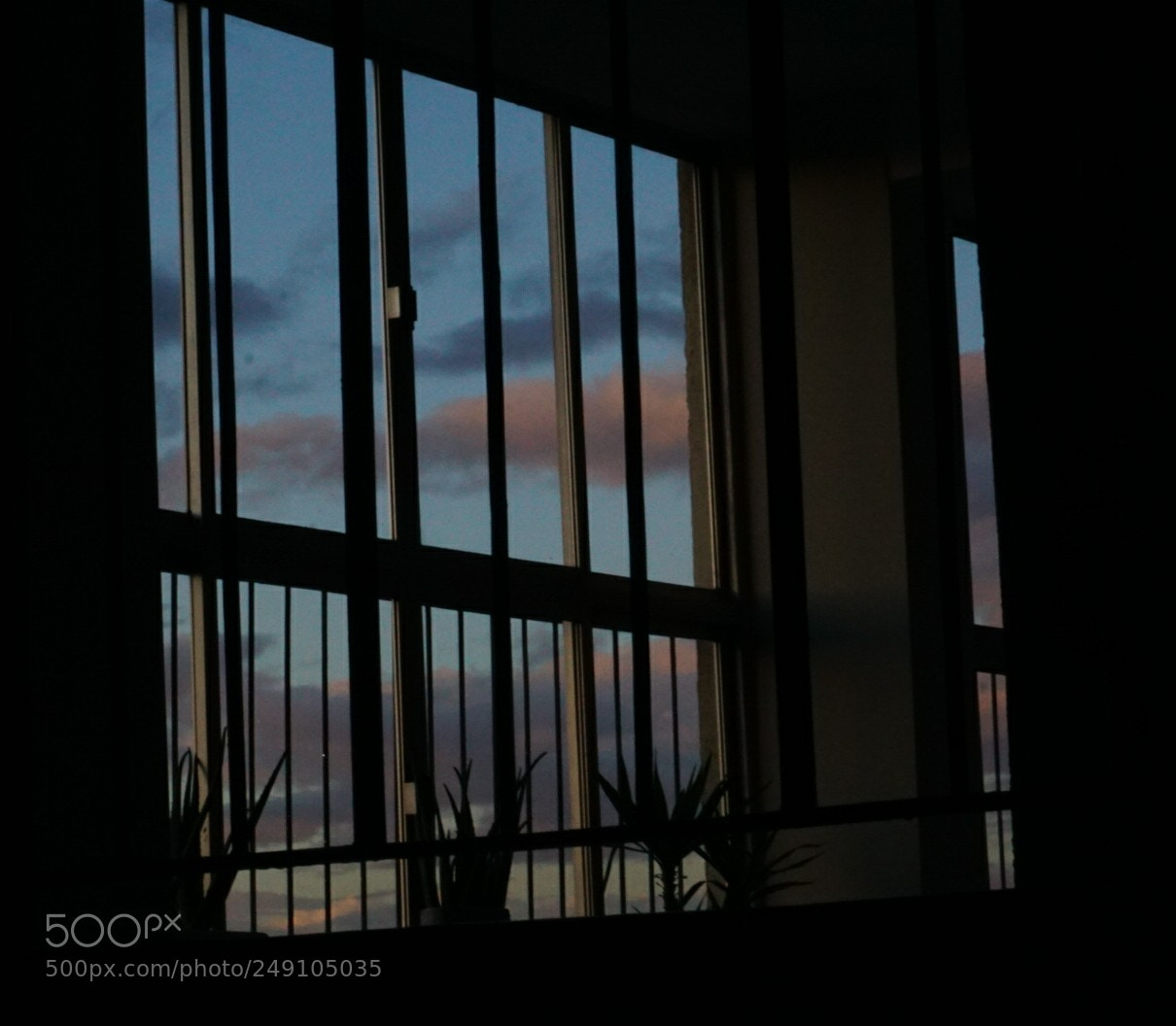 Sony a6000 sample photo. Untitled photography