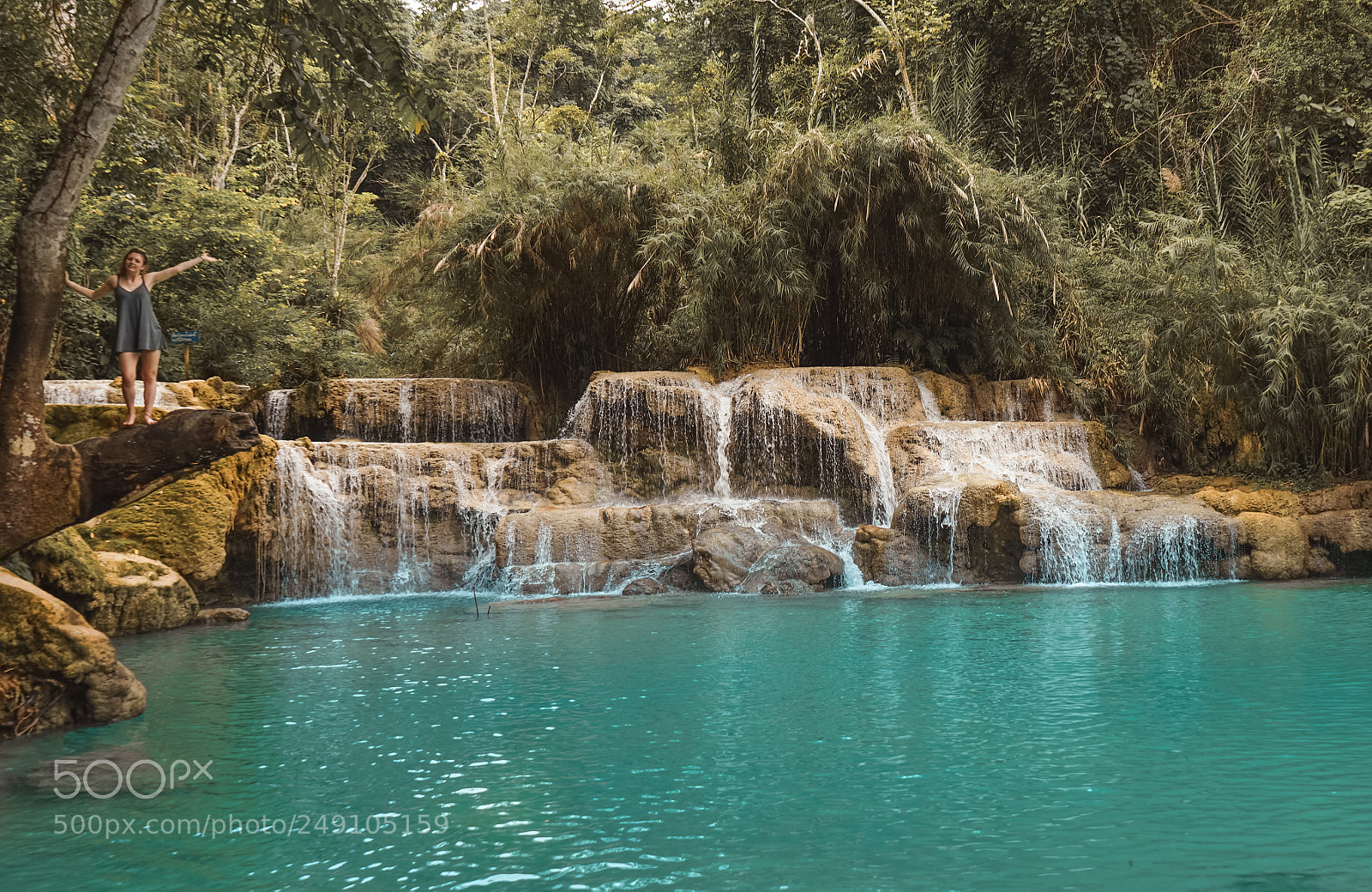 Sony a7 II sample photo. Dsc photography