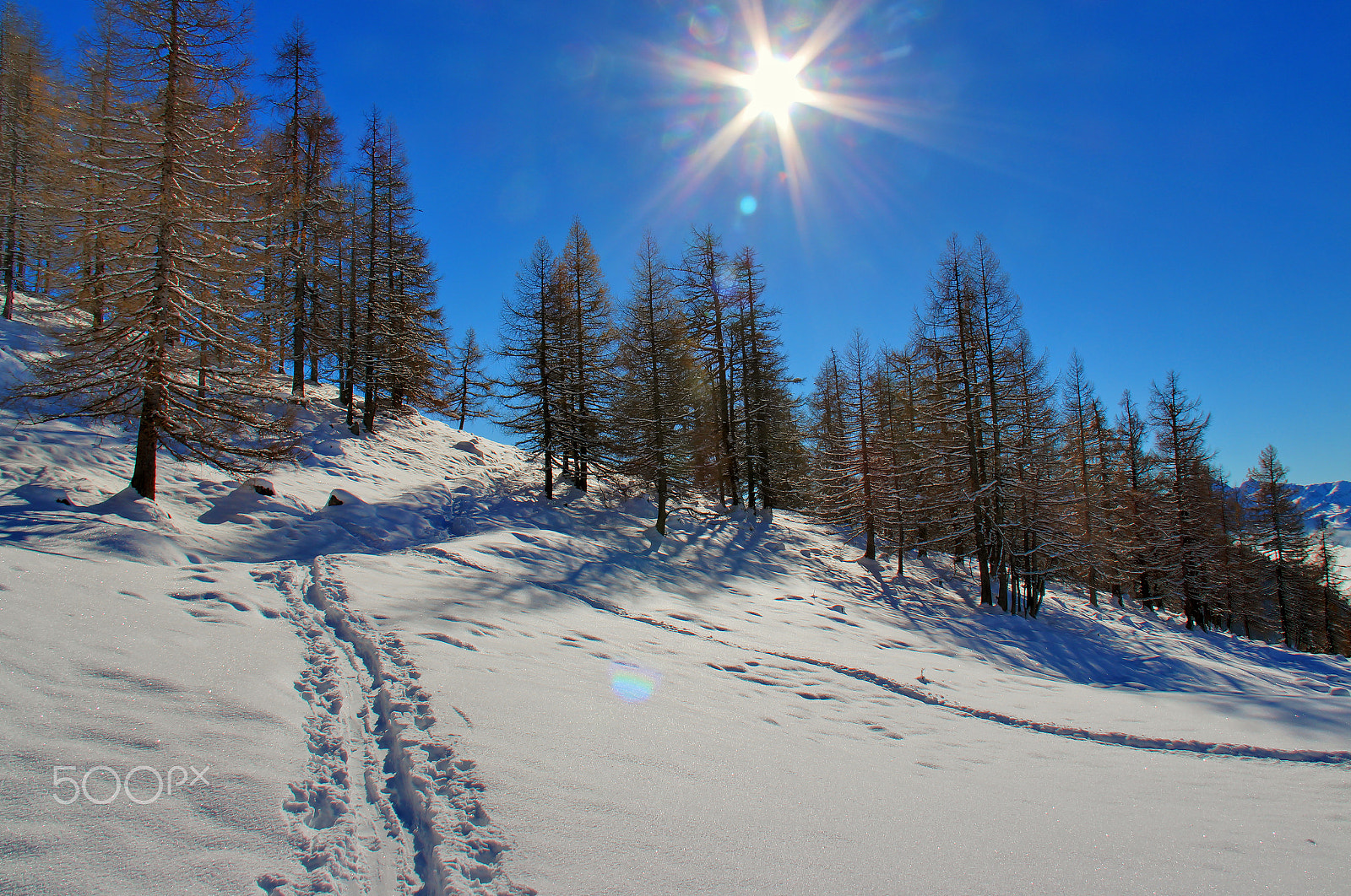 Canon EF-S 18-200mm F3.5-5.6 IS sample photo. Winter hike photography