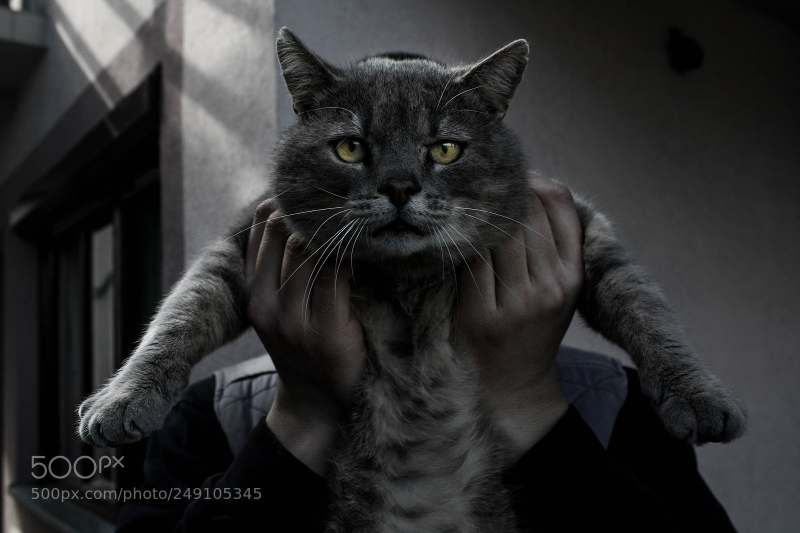 Canon EOS 1000D (EOS Digital Rebel XS / EOS Kiss F) sample photo. Werewolf photography