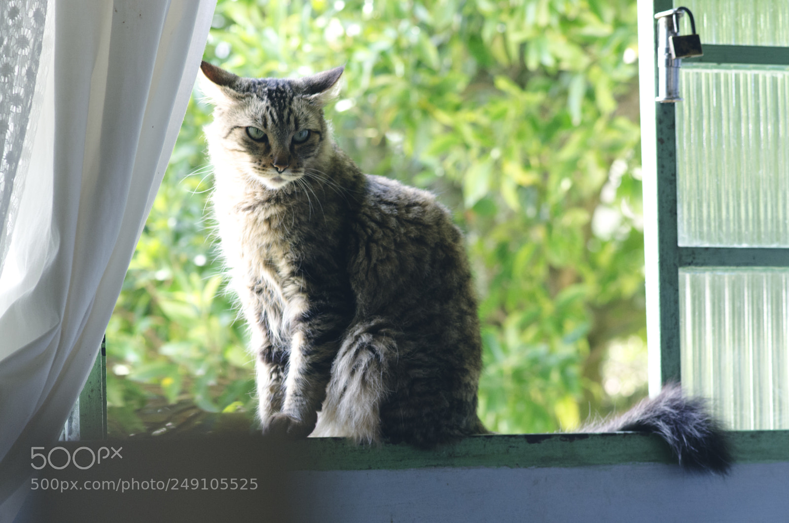 Nikon D7000 sample photo. Copiar photography