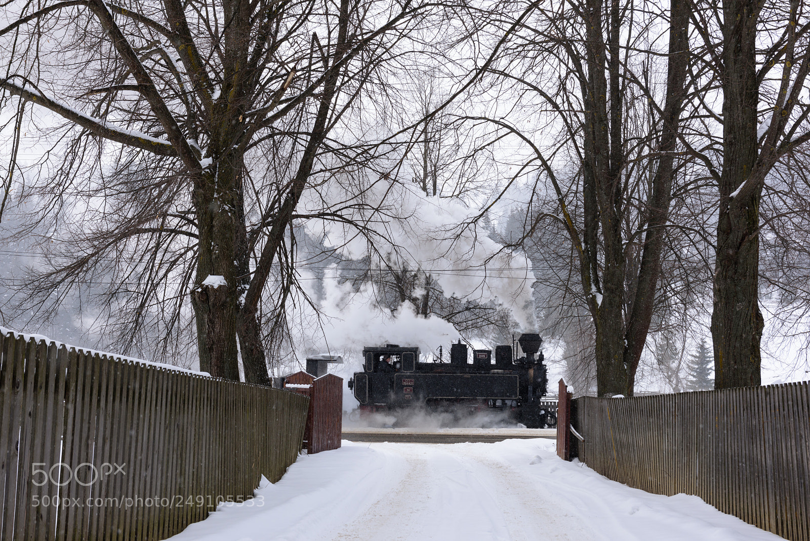Nikon D810 sample photo. Captured in a drive photography