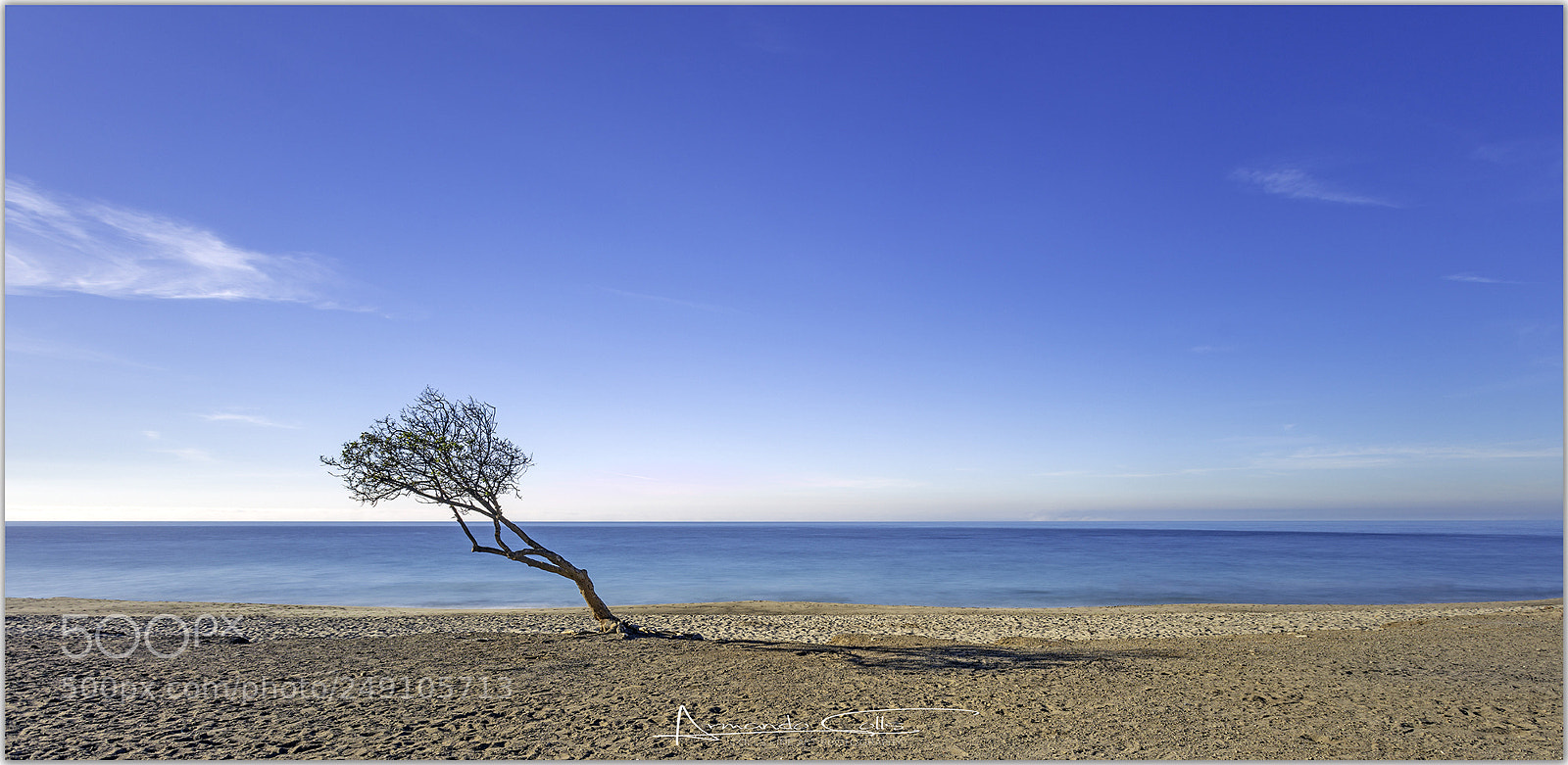 Canon EOS 5DS R sample photo. Copy photography