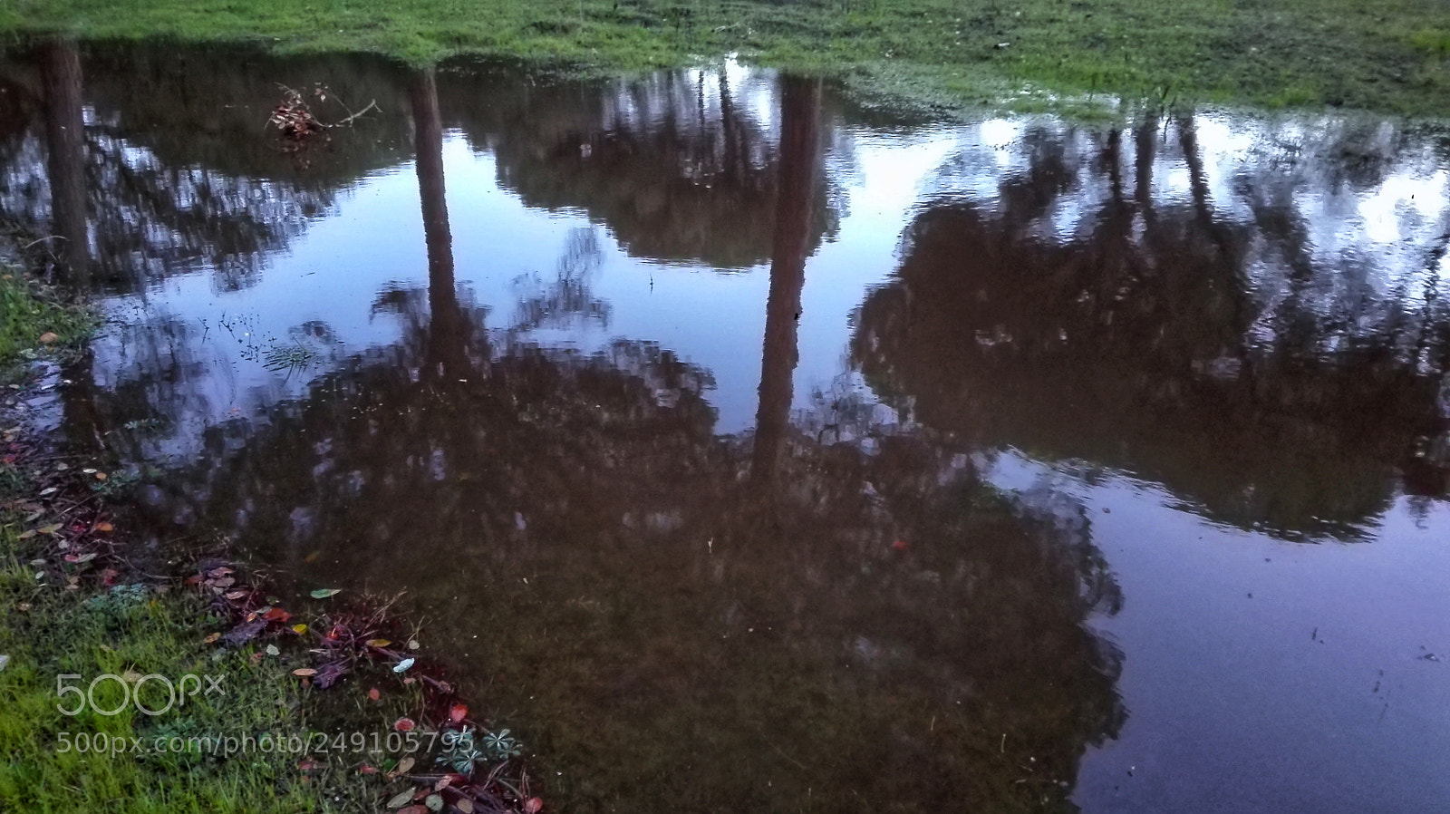 HUAWEI P8 Lite sample photo. Reflejos de doñana photography