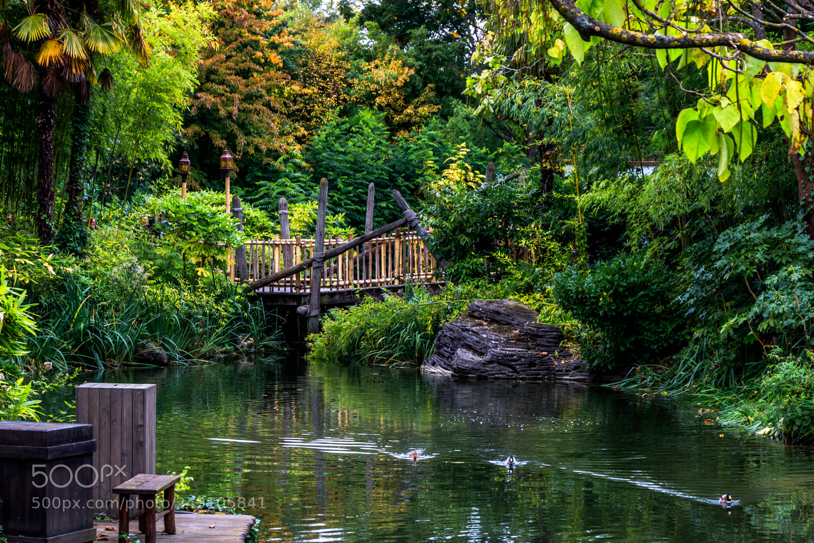 Canon EOS 80D sample photo. Bridge at disneyland photography