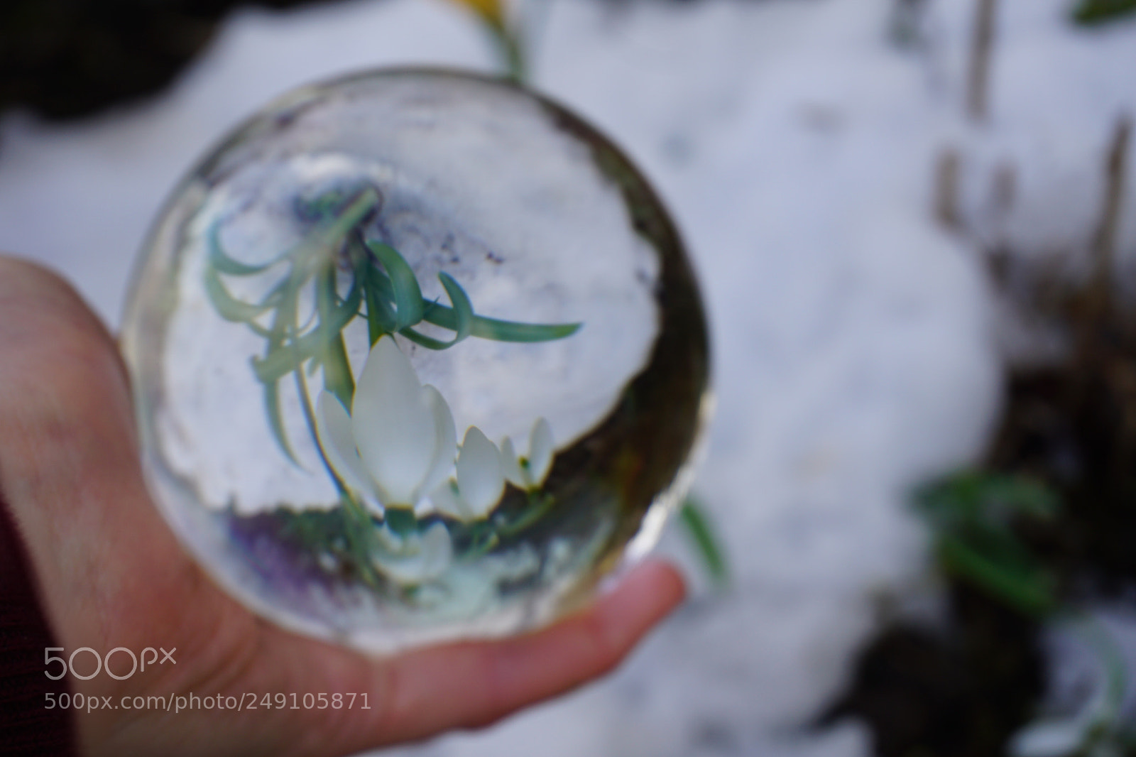 Sony a6000 sample photo. Glaskugel photography
