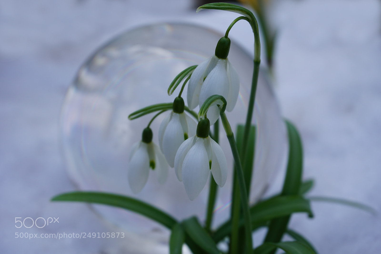 Sony a6000 sample photo. Dsc00649-1.jpg photography