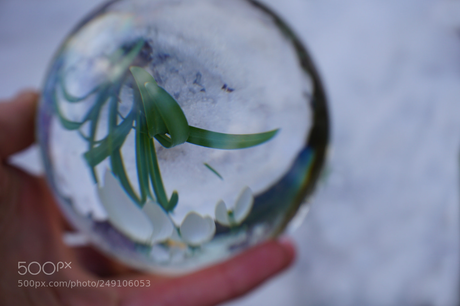 Sony a6000 sample photo. Frühling photography