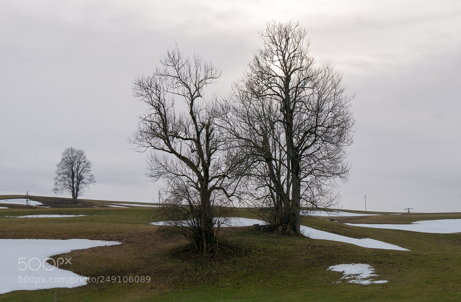 Panasonic DMC-G70 sample photo. Last snow photography