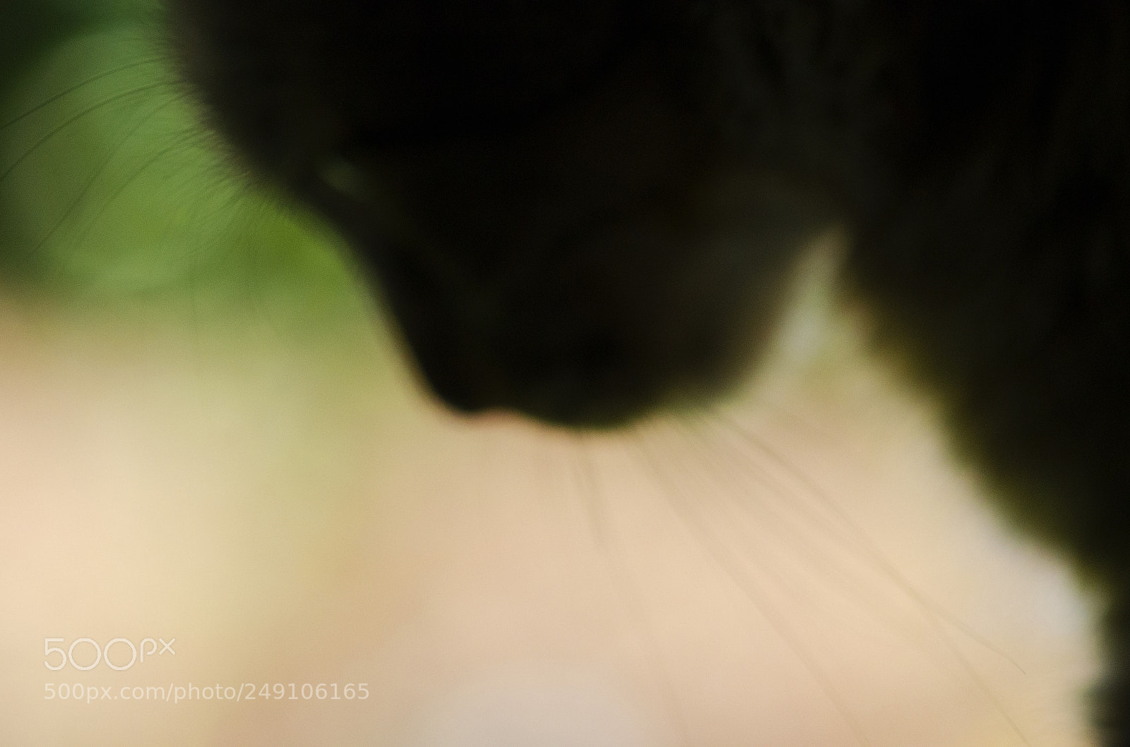 Nikon D7000 sample photo. Copiar photography