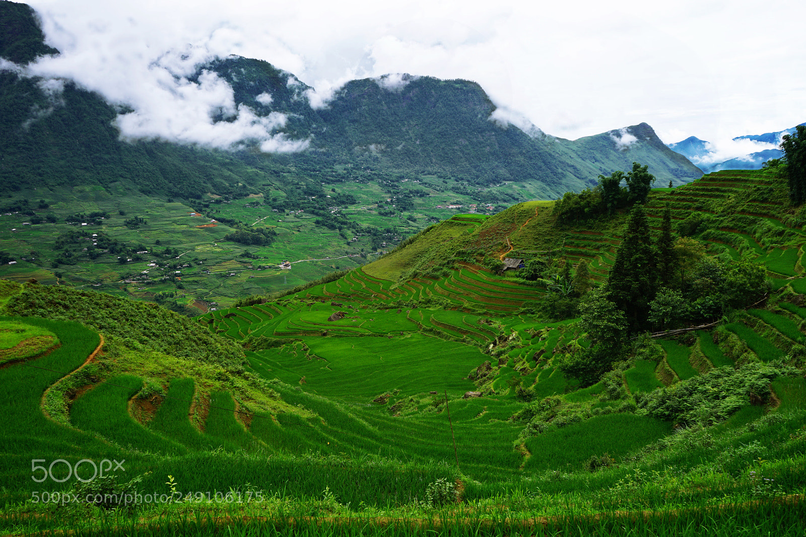 Sony a7 II sample photo. Sapa rice fields photography