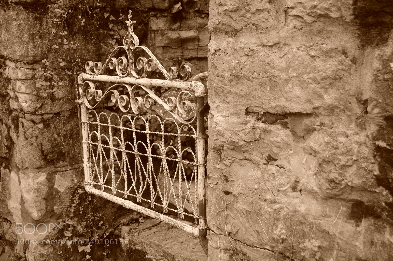 Nikon D300 sample photo. Garden gate - eureka photography