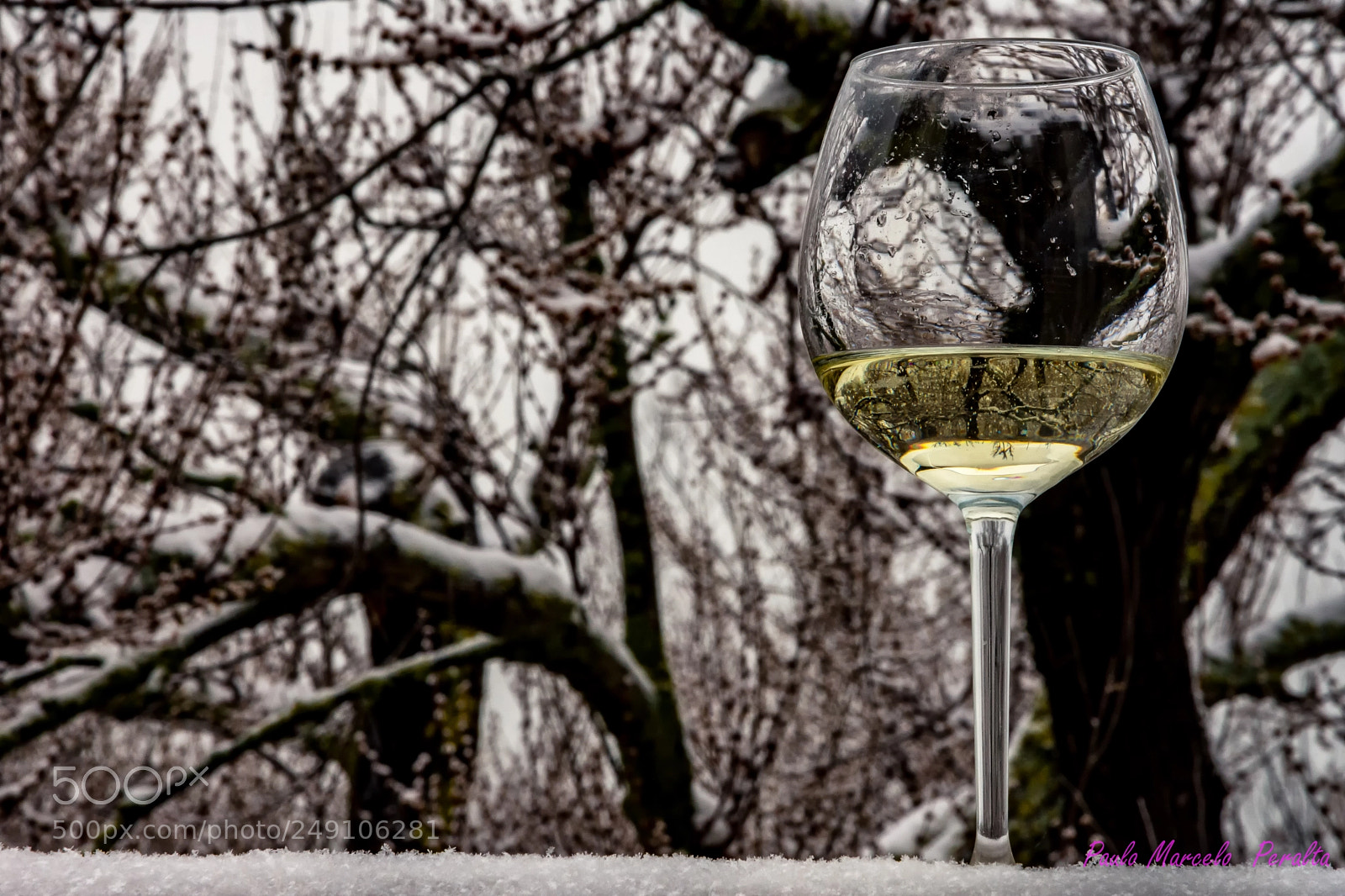 Nikon D7200 sample photo. Wine white photography