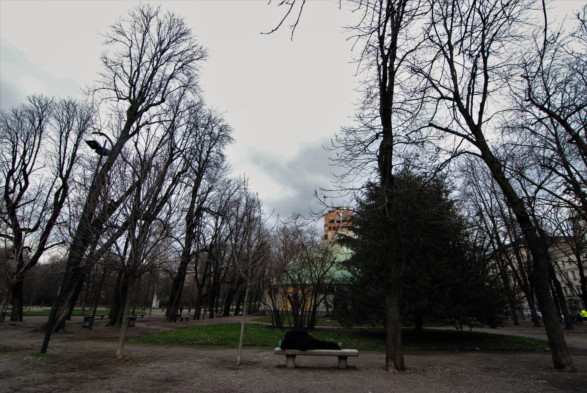 Nikon D3000 sample photo. How life goes photography