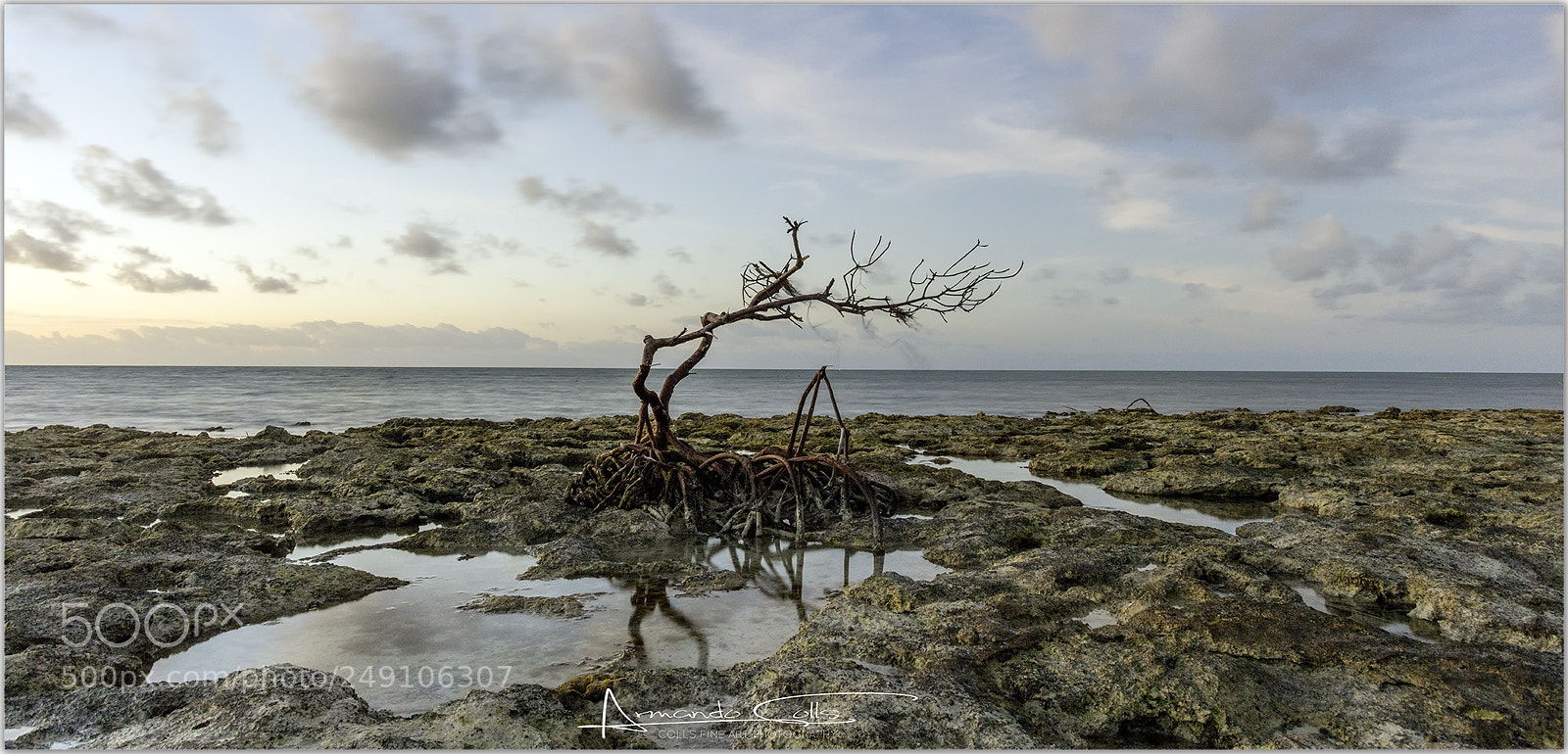 Canon EOS 5DS R sample photo. Copy photography