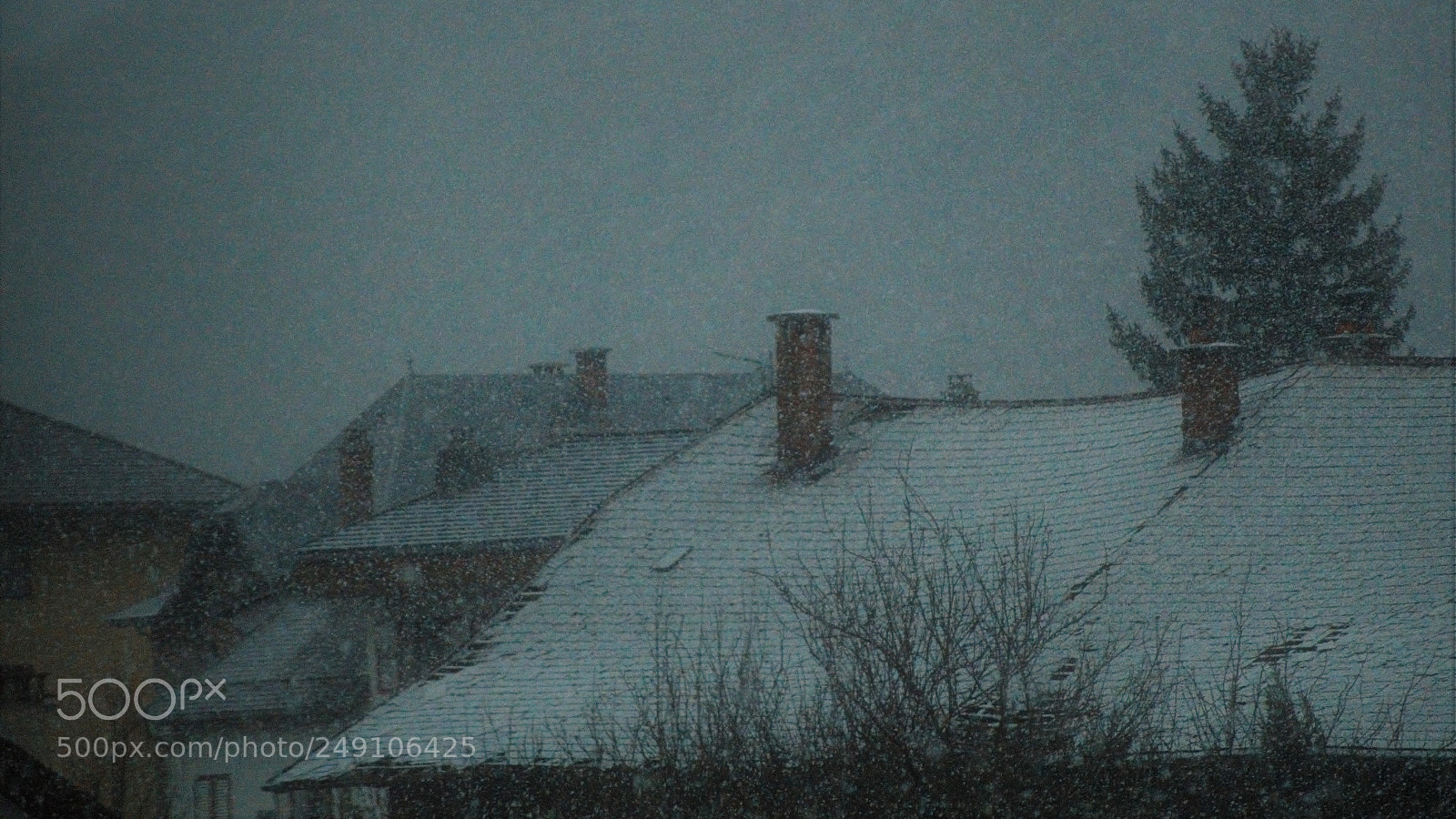 Nikon D3200 sample photo. Untitled photography