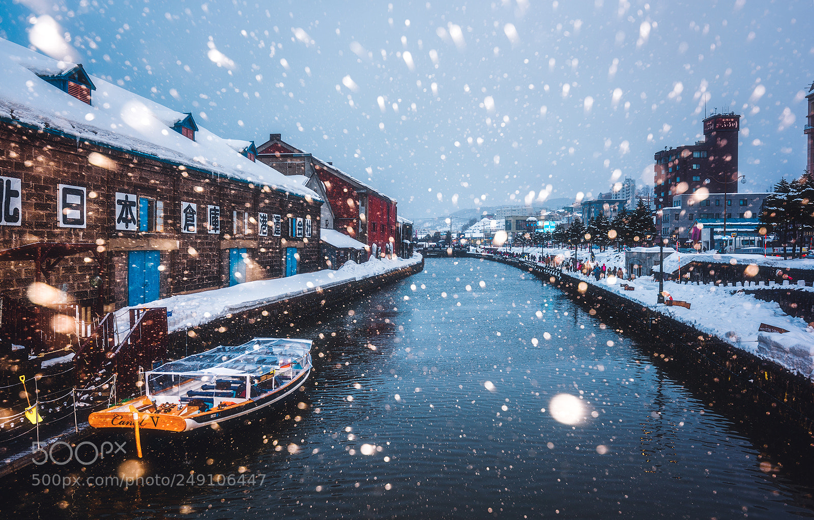 Nikon D810 sample photo. Otaru is snowing photography